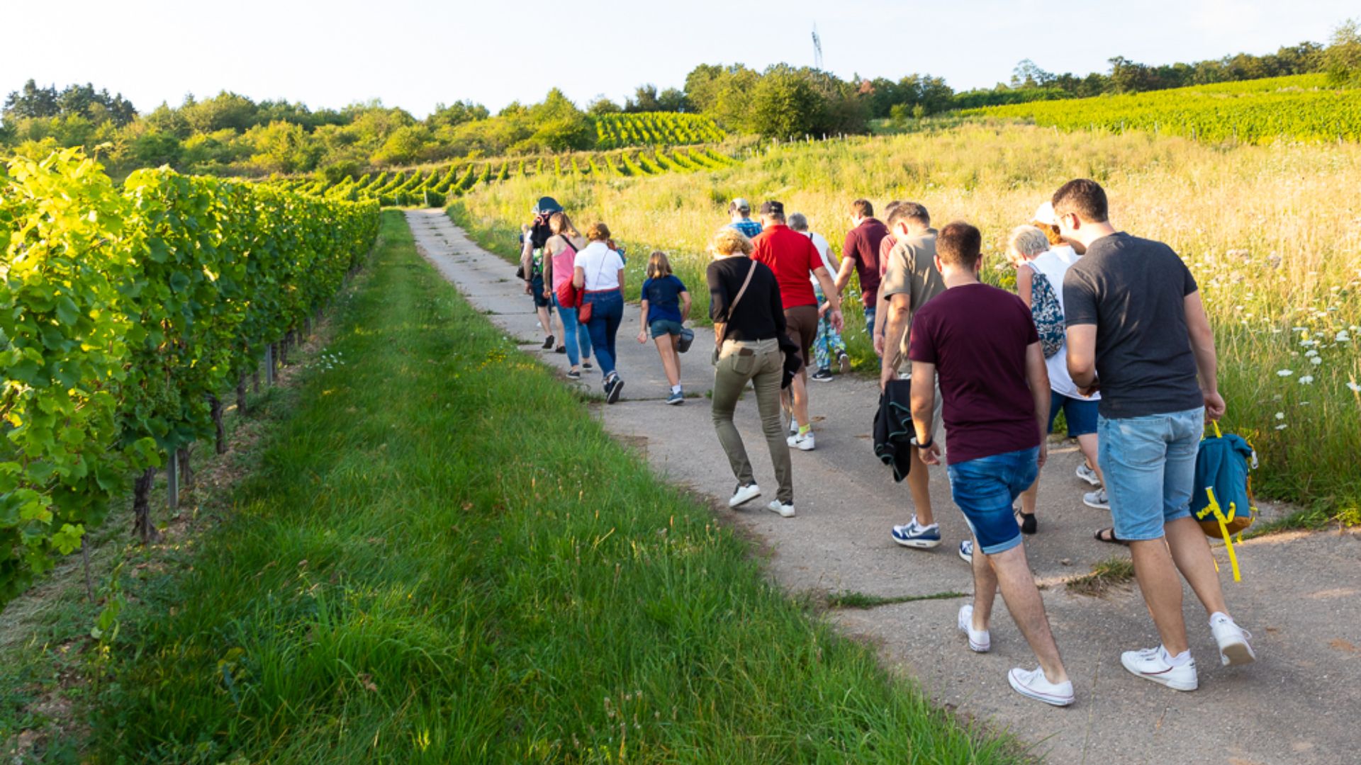 Menschen machen eine Weinbergrallye, laufen über einen Feldweg
