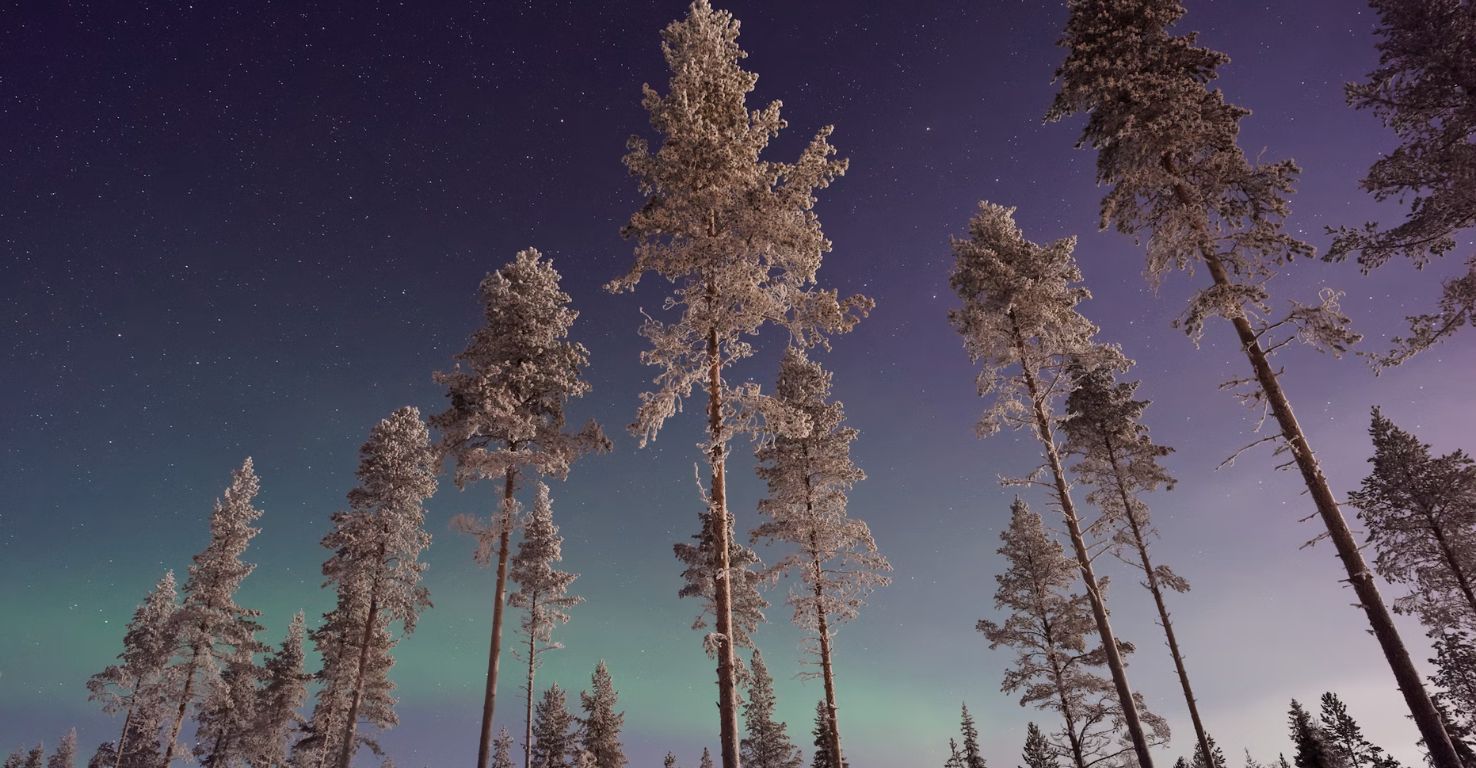 polarlichter-lappland