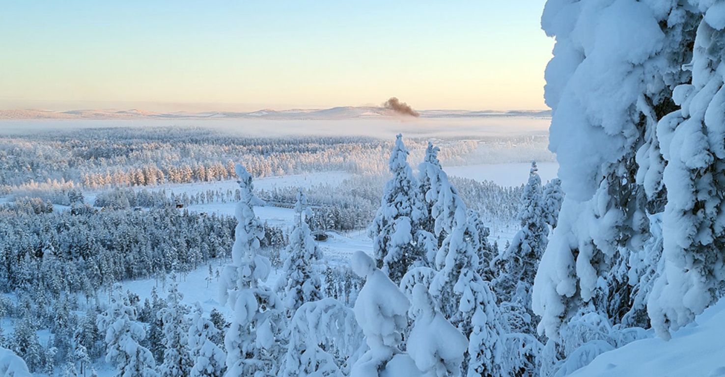 schneewald-lappland